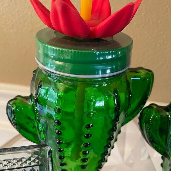 Target Bullseye Glass Cactus Flower Mason Jar Glasses set of 2 Sealed! - Picture 4 of 16